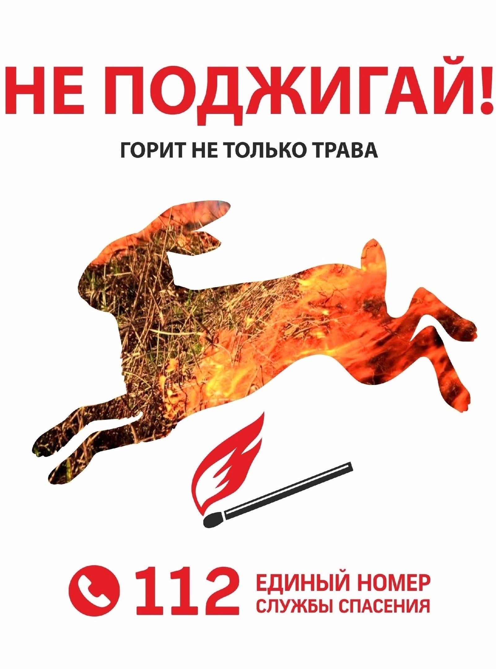 Об опасности травяных палов.