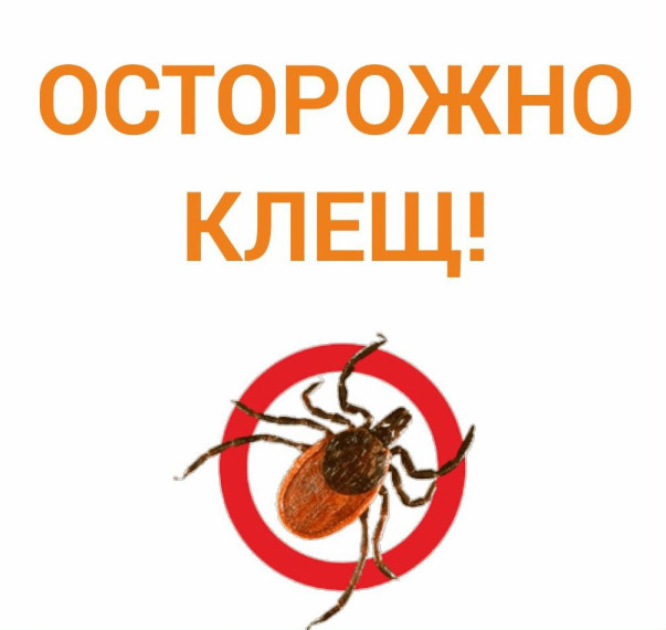 Памятка для населения "Осторожно - клещи!". Памятка для населения "Осторожно - клещи!".